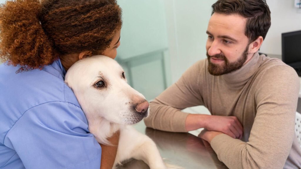 A Importância da Castração para a Saúde e Comportamento do Seu Pet 8 Imagem de a importância da castração para a saúde e comportamento do seu pet