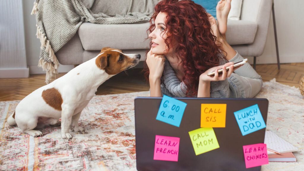 Imagem de como organizar a rotina do seu pet