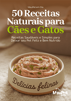 50 receitas