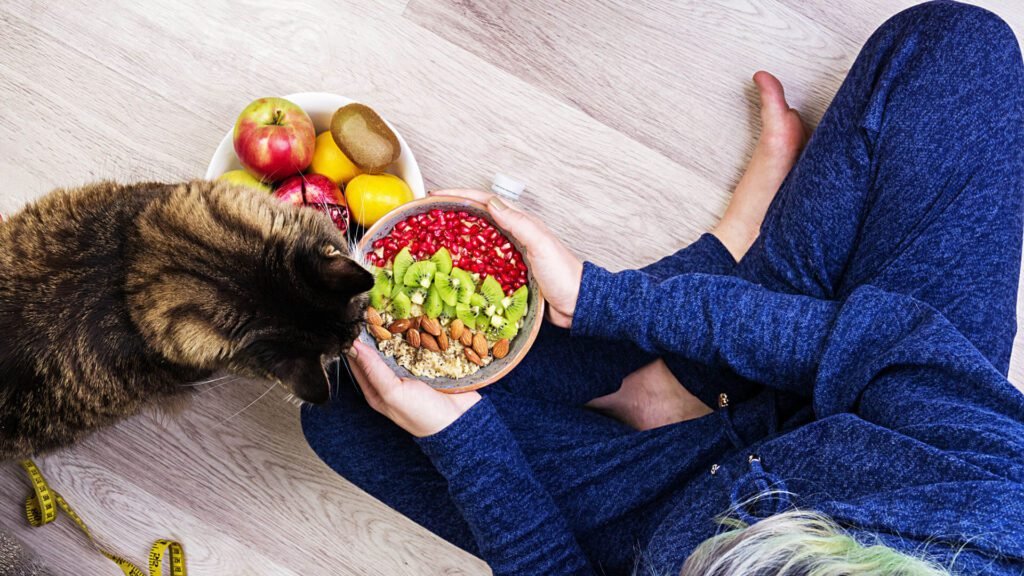 Imagem de alimentação natural para pets