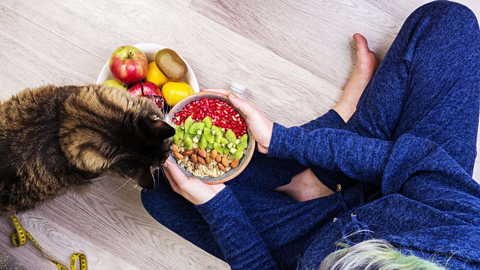 Imagem de alimentação natural para pets