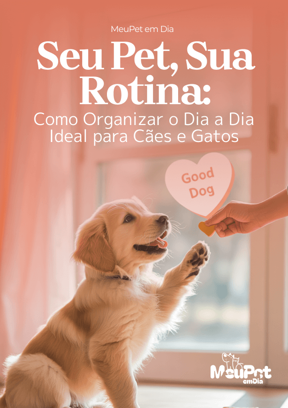 Como Organizar a Rotina do Seu Pet: Dicas de Planejamento para Tutores Ocupados 1 Imagem de como organizar a rotina do seu pet