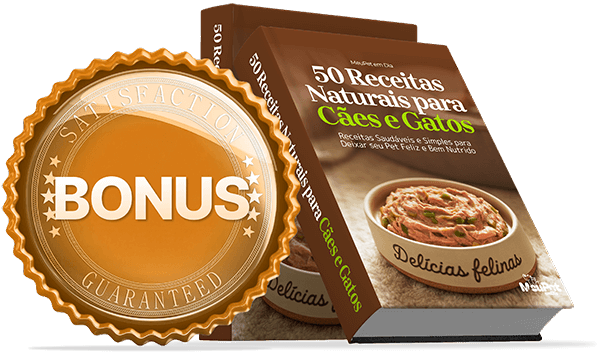 bonus 50 receitas