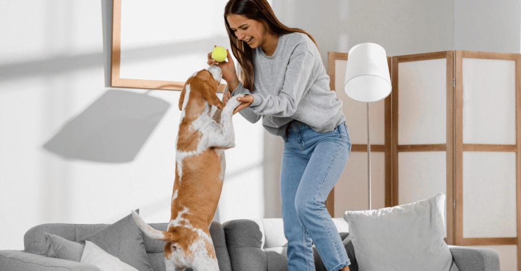 Imagem de cuidados com pets em apartamentos