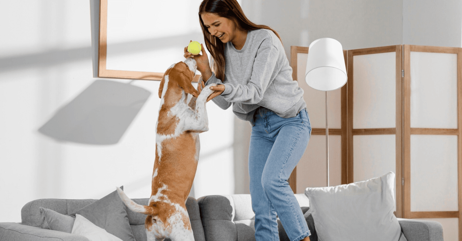blog 9 Imagem de cuidados com pets em apartamentos