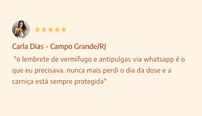 dep 6