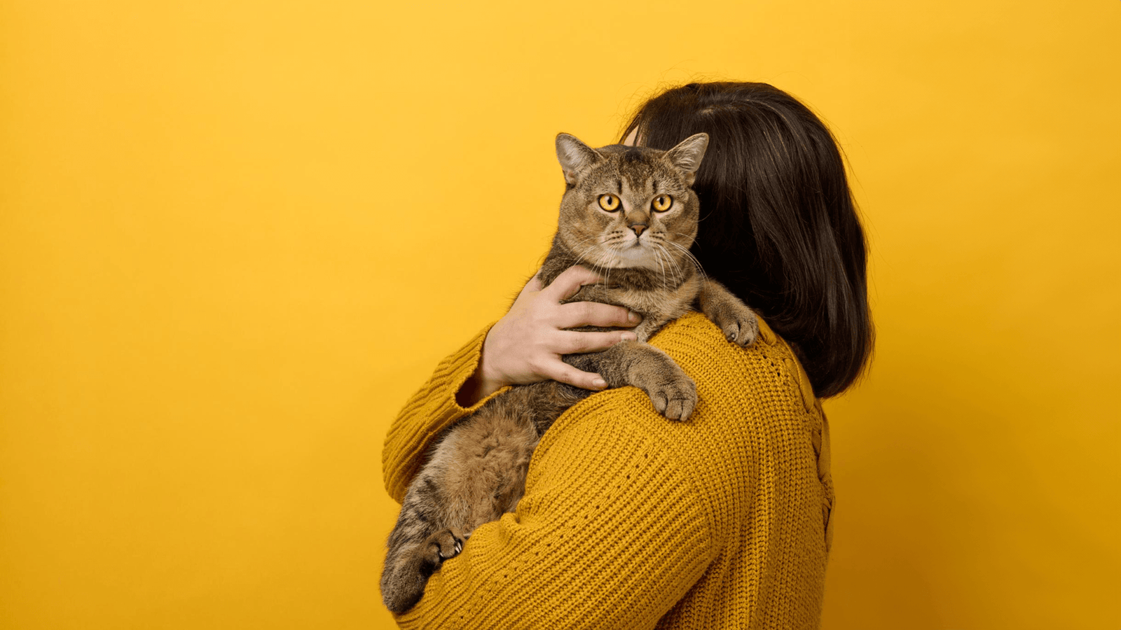 blog 9 Maio Amarelo Pet: Saúde Renal e Oral em Foco