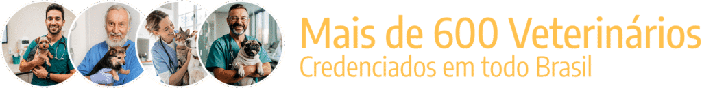 600 vet credenciados