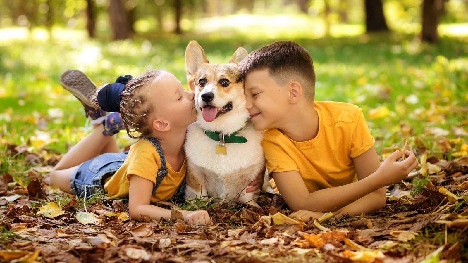 home2026v1 183 Interação entre Crianças e Animais: Benefícios Incríveis