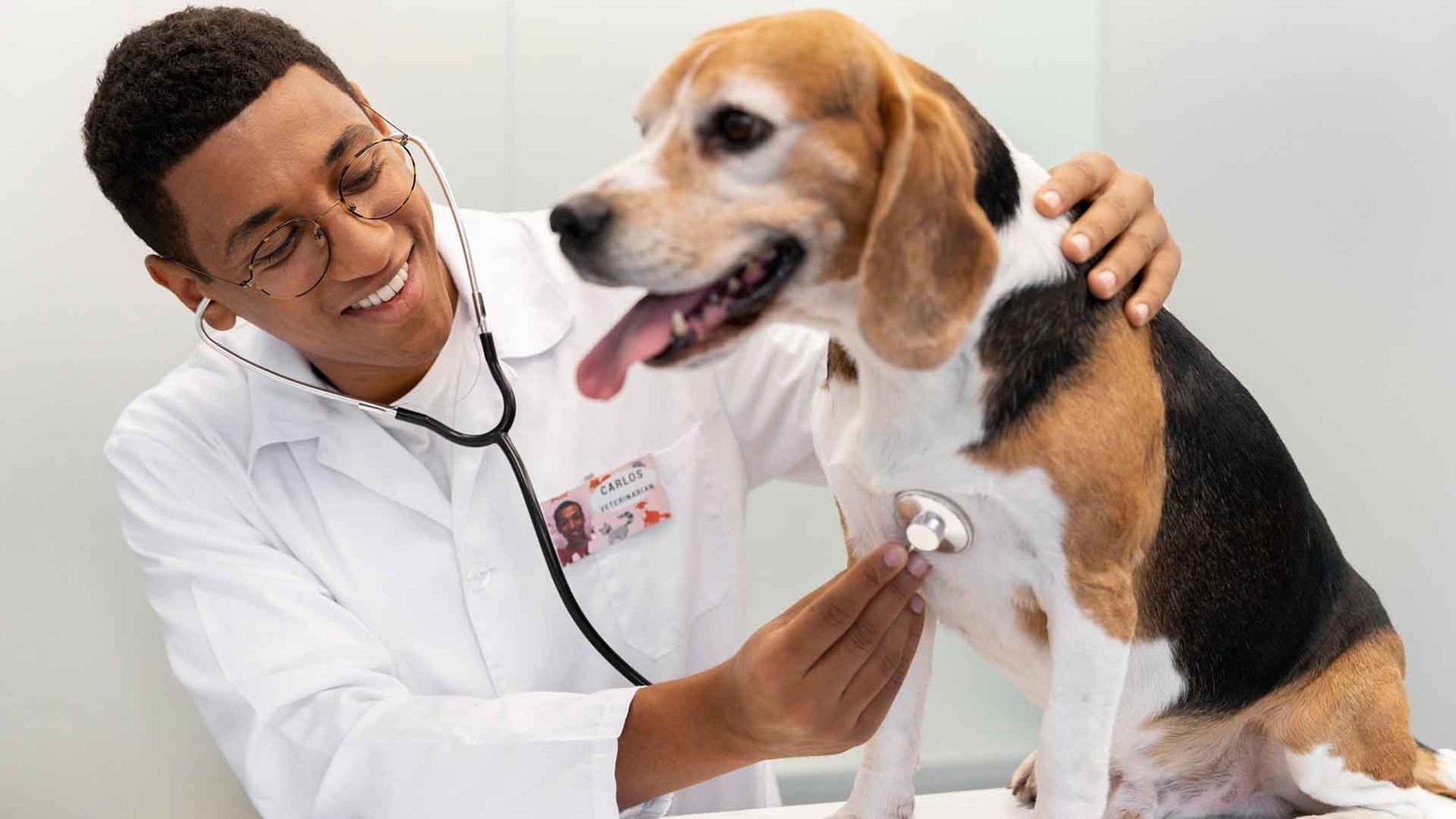 home2026v1 182 Saúde Preventiva para Pets da Pandemia: Atenção em Meia-Idade